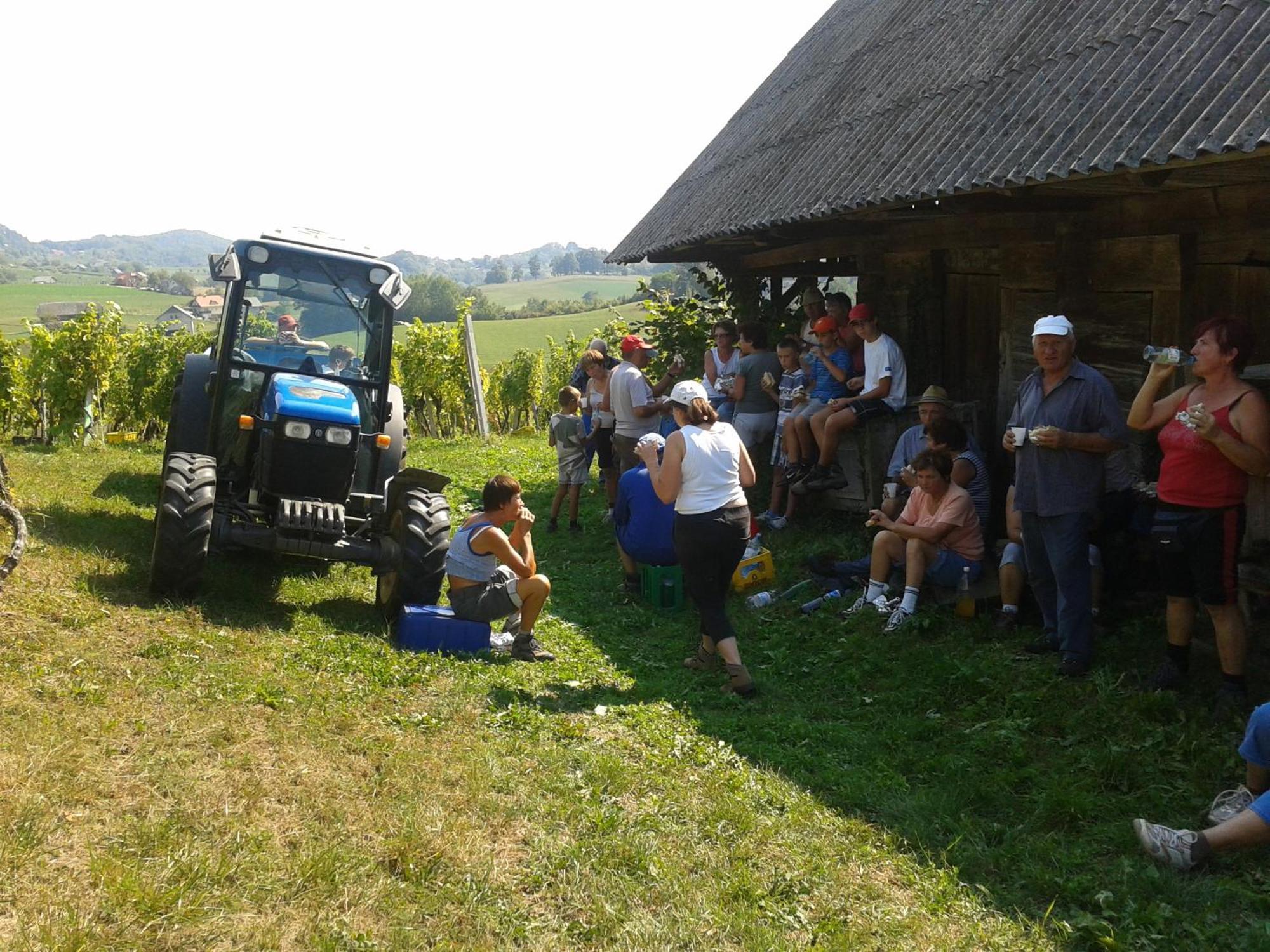 Grobelnik Tourist Farm Villa Sevnica Ngoại thất bức ảnh