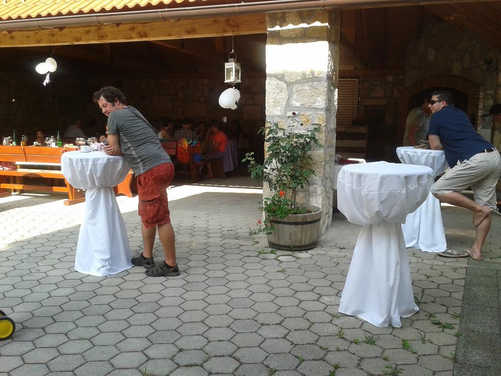 Grobelnik Tourist Farm Villa Sevnica Ngoại thất bức ảnh